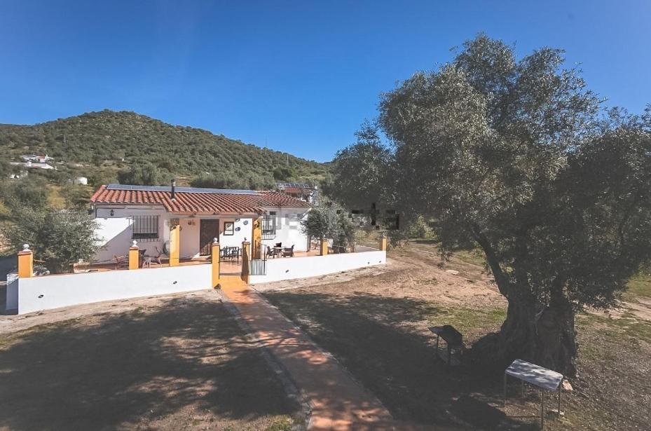 Casa Rural Los Naranjo Jerez De Los Caballeros Esterno foto